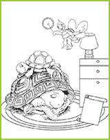 coloriages tortue franklin