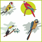 dessins et coloriages d'oiseaux